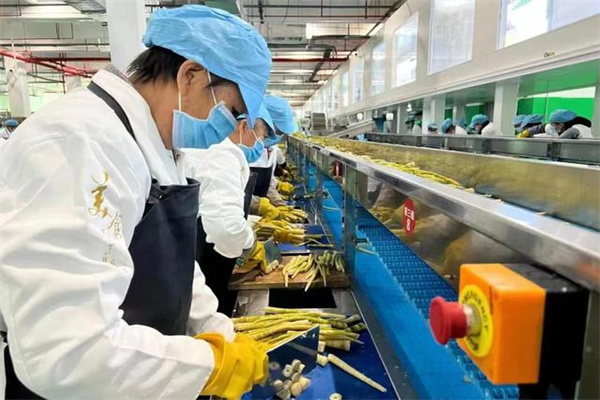 证券配资实盘排名：揭秘高手背后的秘密与风险防范指南