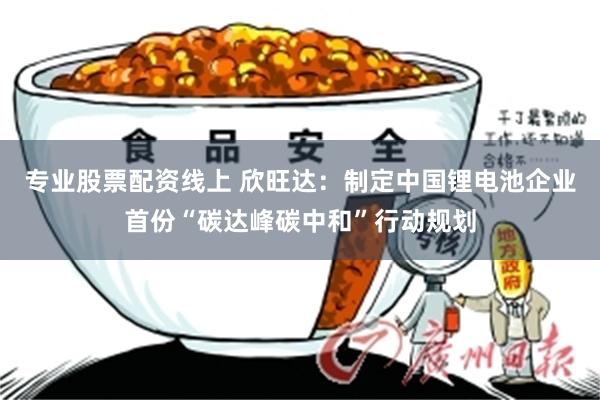 专业股票配资线上 欣旺达：制定中国锂电池企业首份“碳达峰碳中和”行动规划