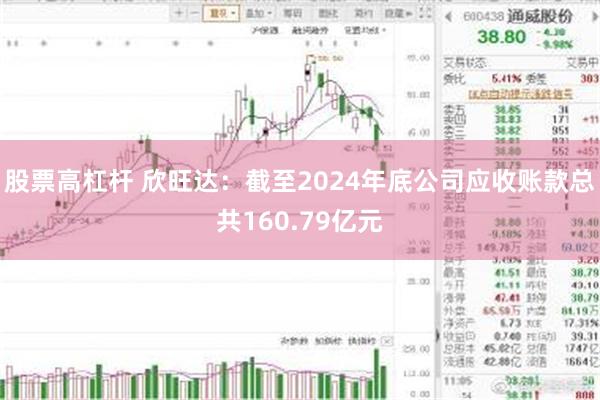 股票高杠杆 欣旺达：截至2024年底公司应收账款总共160.79亿元