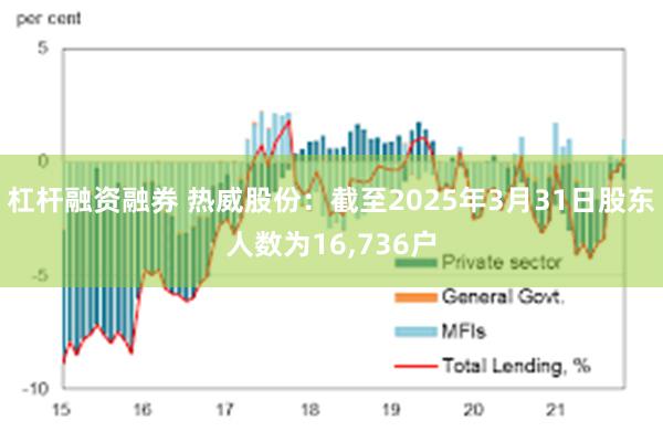 杠杆融资融券 热威股份：截至2025年3月31日股东人数为16,736户