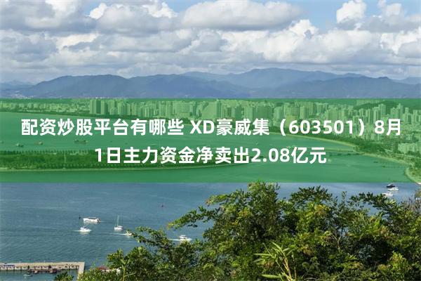 配资炒股平台有哪些 XD豪威集（603501）8月1日主力资金净卖出2.08亿元