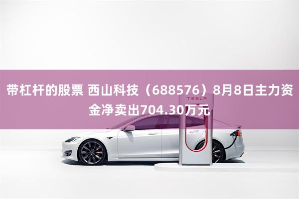 带杠杆的股票 西山科技（688576）8月8日主力资金净卖出704.30万元