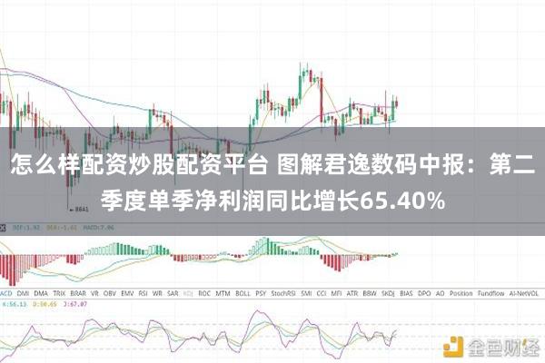 怎么样配资炒股配资平台 图解君逸数码中报：第二季度单季净利润同比增长65.40%