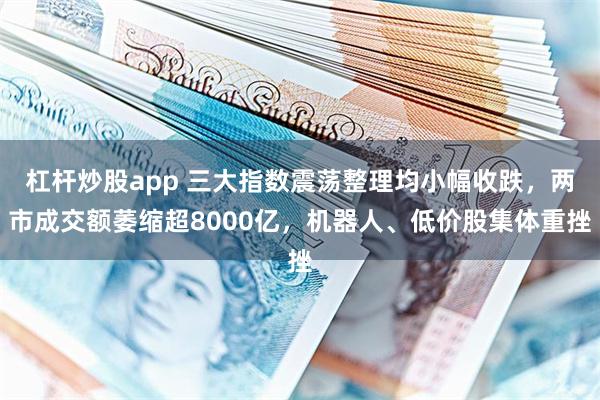 杠杆炒股app 三大指数震荡整理均小幅收跌，两市成交额萎缩超8000亿，机器人、低价股集体重挫