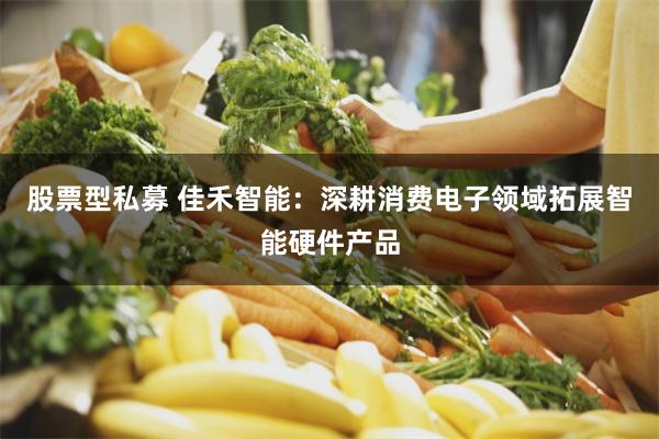 股票型私募 佳禾智能：深耕消费电子领域拓展智能硬件产品