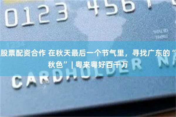 股票配资合作 在秋天最后一个节气里，寻找广东的“秋色” | 粤来粤好百千万