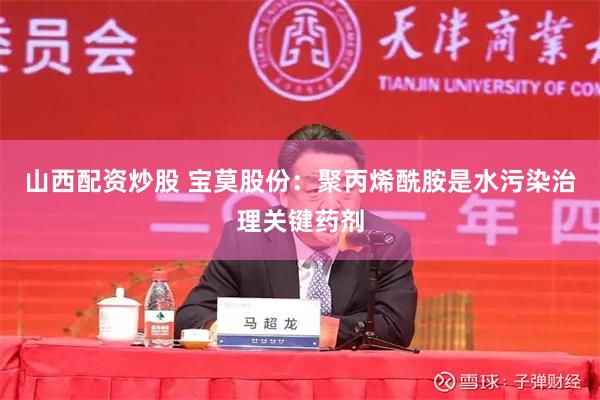 山西配资炒股 宝莫股份：聚丙烯酰胺是水污染治理关键药剂