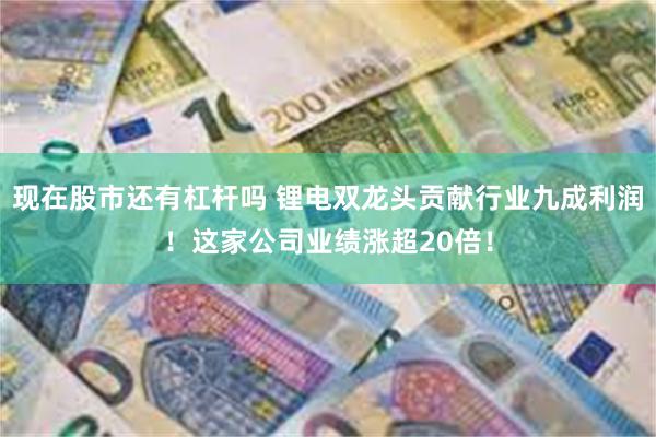 现在股市还有杠杆吗 锂电双龙头贡献行业九成利润！这家公司业绩涨超20倍！