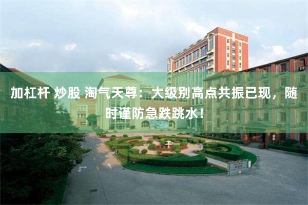 加杠杆 炒股 淘气天尊：大级别高点共振已现，随时谨防急跌跳水！
