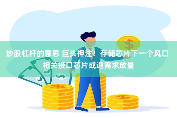 炒股杠杆的意思 巨头押注！存储芯片下一个风口 相关接口芯片或迎需求放量
