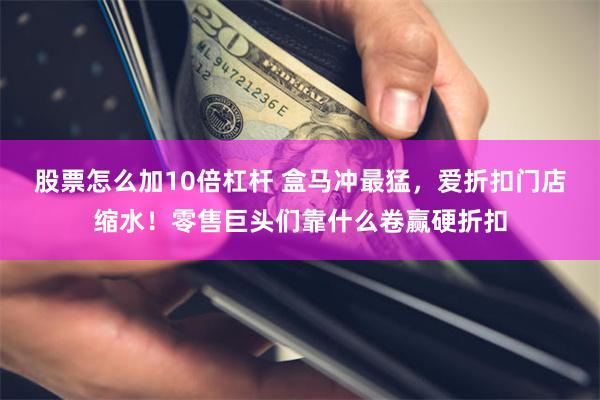 股票怎么加10倍杠杆 盒马冲最猛，爱折扣门店缩水！零售巨头们靠什么卷赢硬折扣