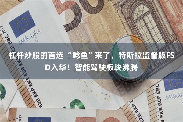 杠杆炒股的首选 “鲶鱼”来了，特斯拉监督版FSD入华！智能驾驶板块沸腾