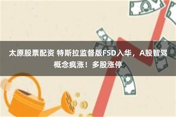太原股票配资 特斯拉监督版FSD入华，A股智驾概念疯涨！多股涨停
