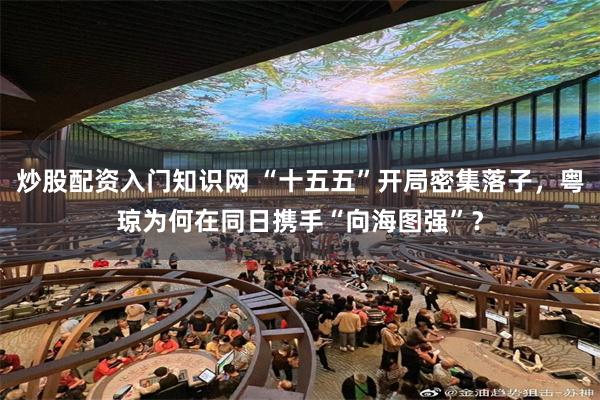 炒股配资入门知识网 “十五五”开局密集落子,粤琼为何在同日携手“向海图强”?