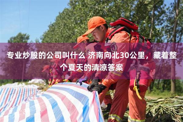 专业炒股的公司叫什么 济南向北30公里，藏着整个夏天的清凉答案