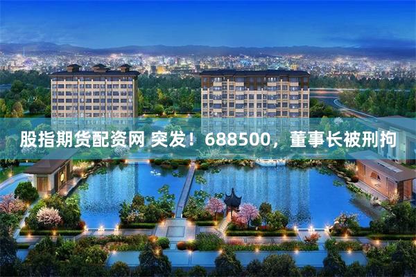 股指期货配资网 突发！688500，董事长被刑拘