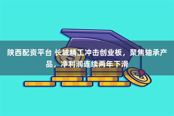 陕西配资平台 长城精工冲击创业板，聚焦轴承产品，净利润连续两年下滑