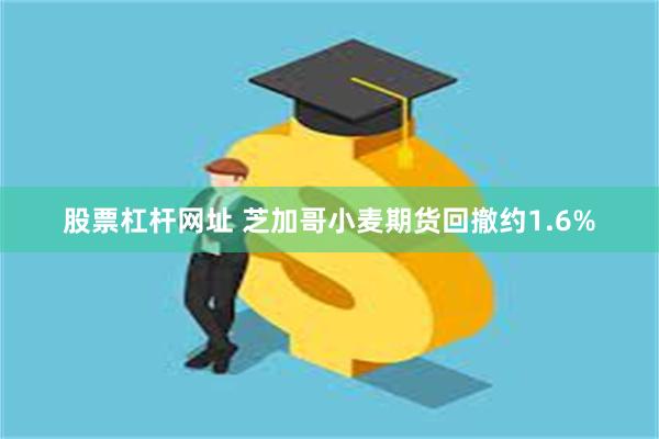 股票杠杆网址 芝加哥小麦期货回撤约1.6%