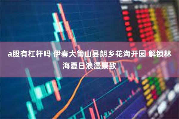 a股有杠杆吗 伊春大箐山县朗乡花海开园 解锁林海夏日浪漫景致
