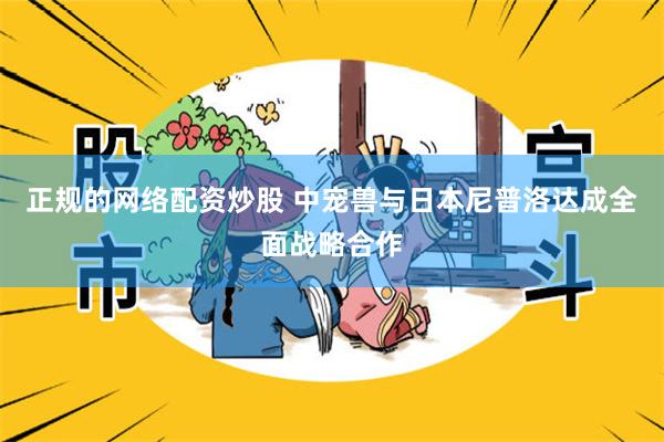 正规的网络配资炒股 中宠兽与日本尼普洛达成全面战略合作