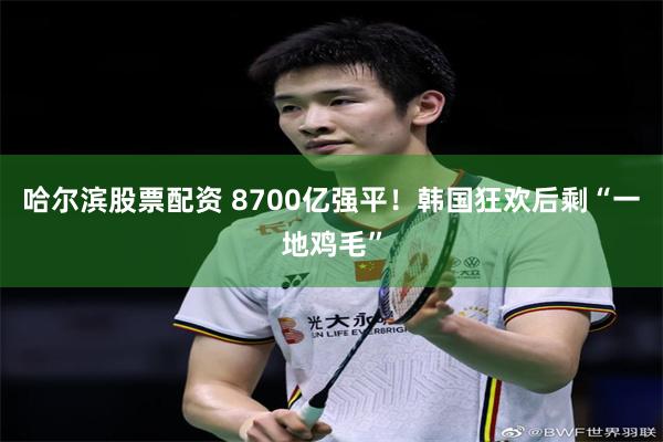 哈尔滨股票配资 8700亿强平！韩国狂欢后剩“一地鸡毛”