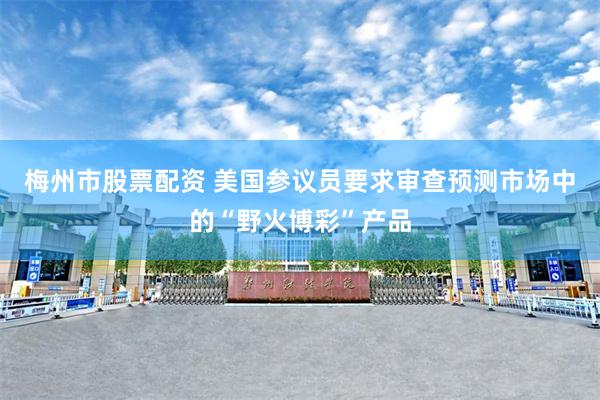 梅州市股票配资 美国参议员要求审查预测市场中的“野火博彩”产品