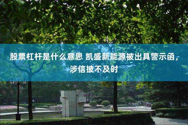 股票杠杆是什么意思 凯盛新能源被出具警示函，涉信披不及时