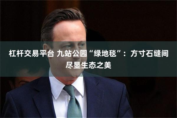杠杆交易平台 九站公园“绿地毯”：方寸石缝间尽显生态之美