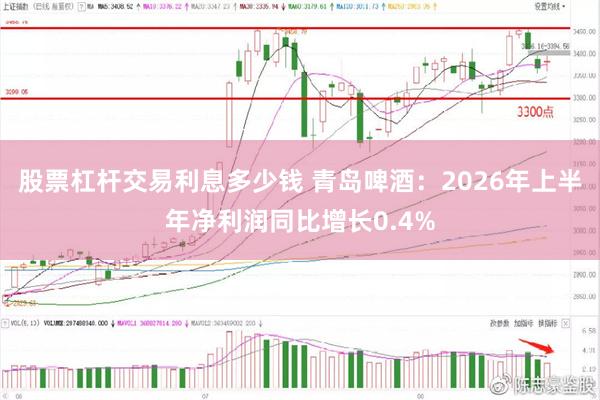 股票杠杆交易利息多少钱 青岛啤酒:2026年上半年净利润同比增长0.4%