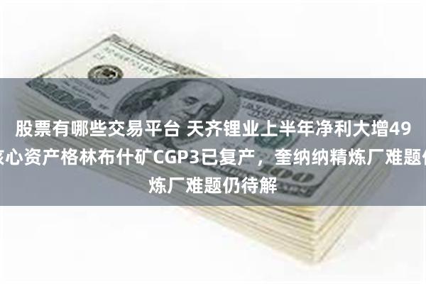 股票有哪些交易平台 天齐锂业上半年净利大增49倍，核心资产格林布什矿CGP3已复产，奎纳纳精炼厂难题仍待解